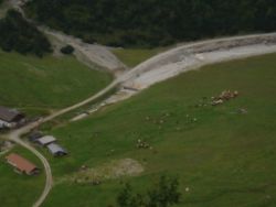 2013-09-08_6Falkenh-Steinfalk (334).JPG